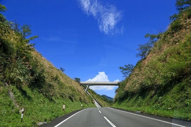 a0242438_20092420.jpg
