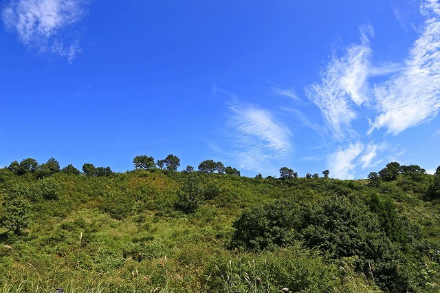 a0242438_20092445.jpg