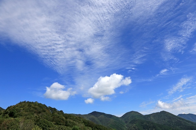 a0242438_20092457.jpg