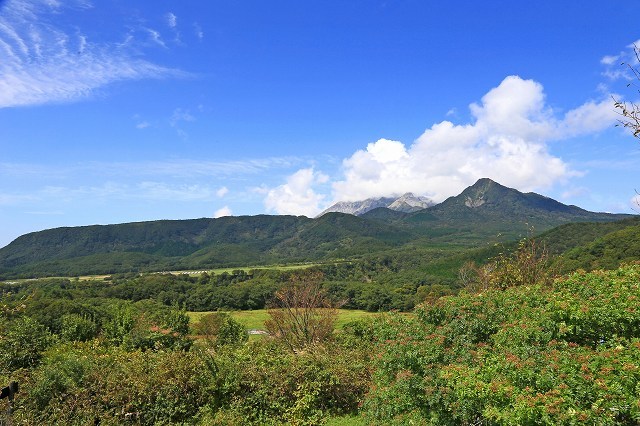 a0242438_20092598.jpg