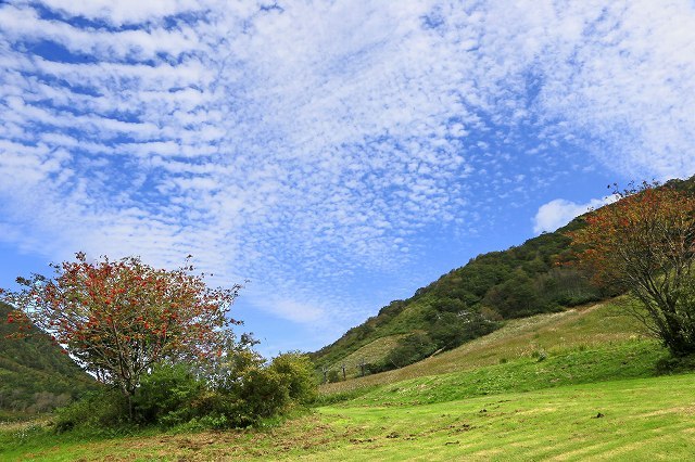 a0242438_20093818.jpg