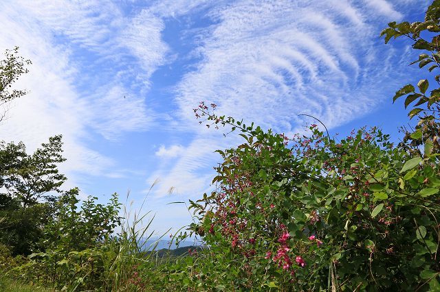 a0242438_20093841.jpg