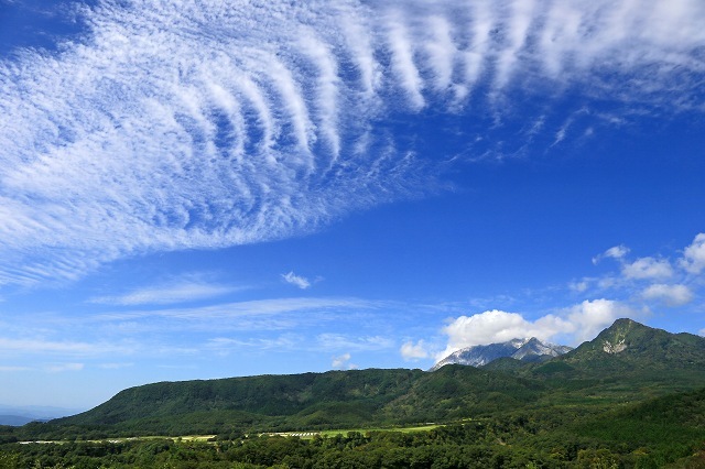 a0242438_20093865.jpg