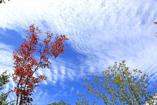 a0242438_20093881.jpg