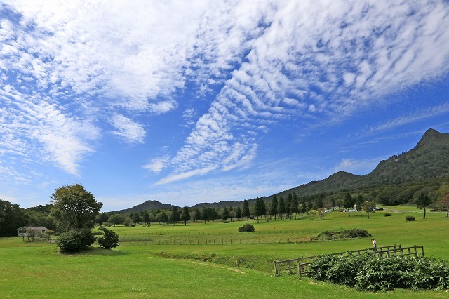 a0242438_20124250.jpg