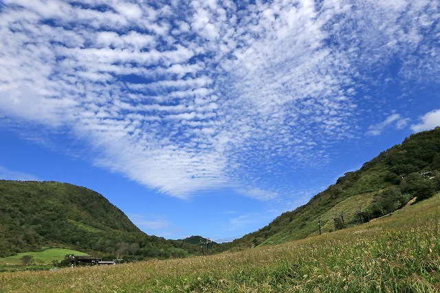 a0242438_20124272.jpg