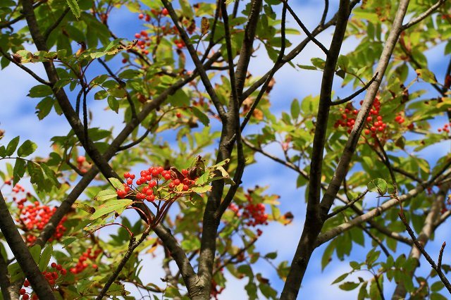 a0242438_20131680.jpg