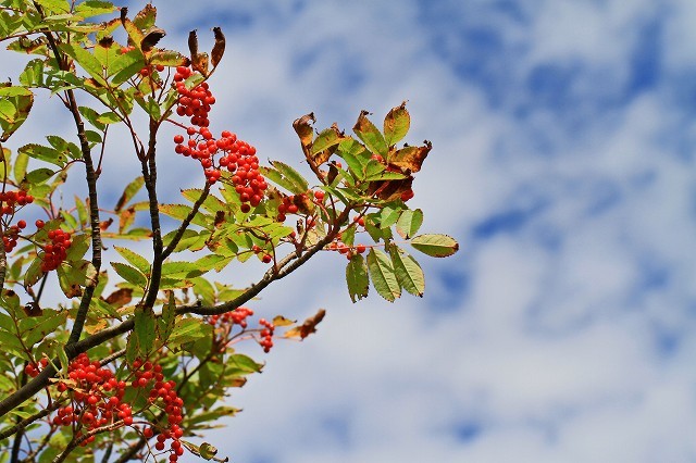 a0242438_20131686.jpg
