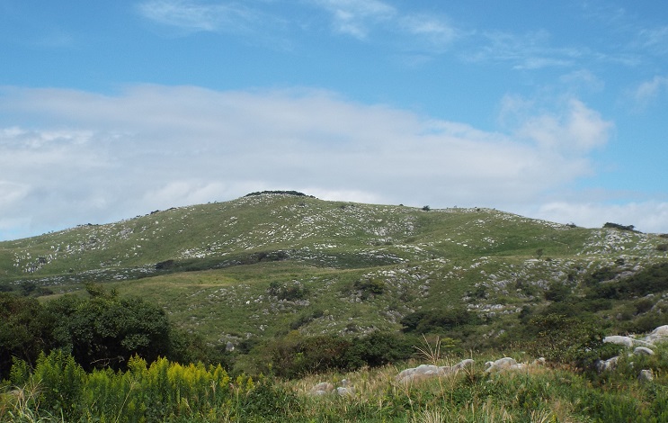e0164643_11131656.jpg