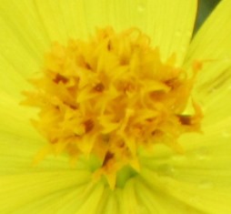 b0289649_17142463.jpg