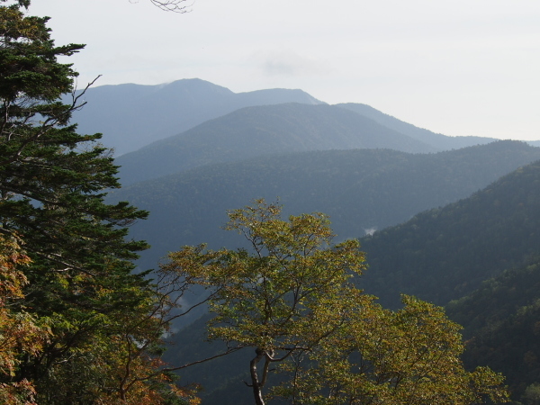 c0321967_12333644.jpg