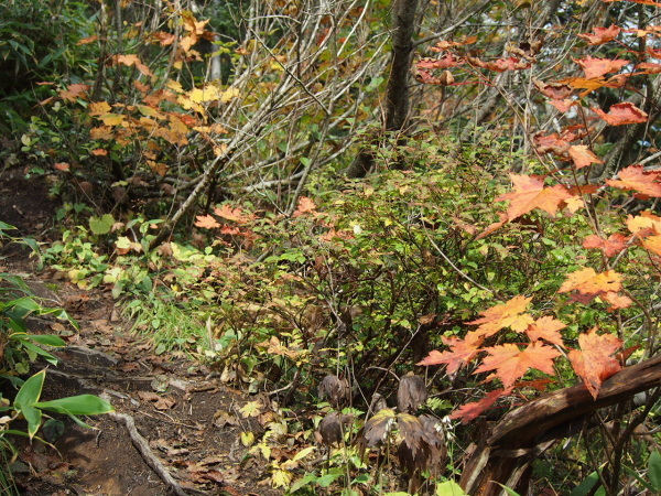 c0321967_12340146.jpg