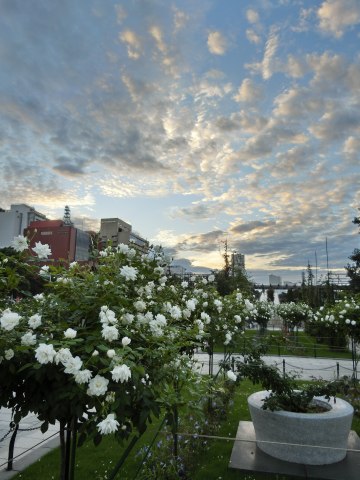 e0045768_2211065.jpg