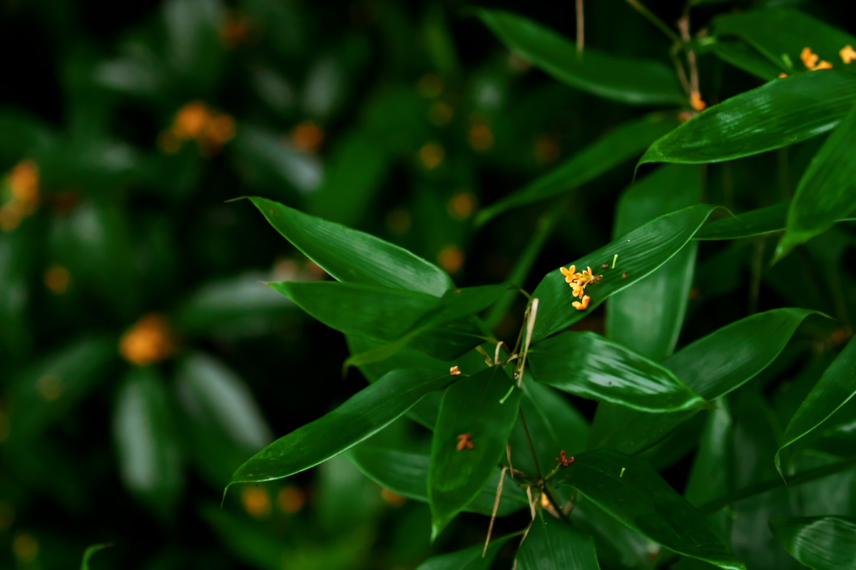 a0083081_17164090.jpg