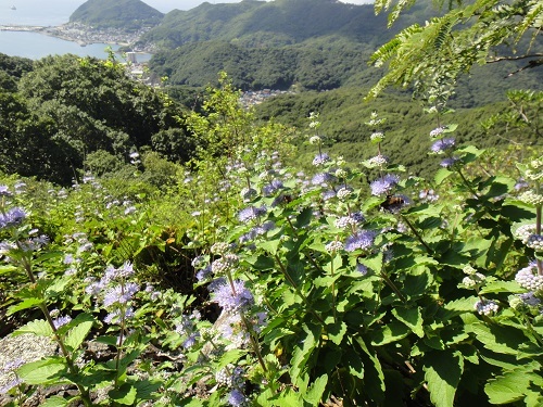f0372285_21283894.jpg