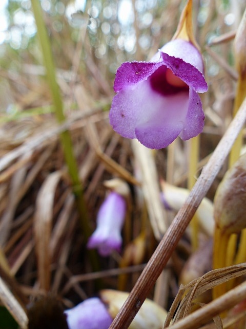 f0357487_22331145.jpg
