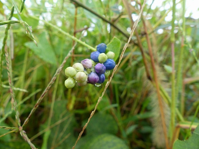 f0357487_223678.jpg
