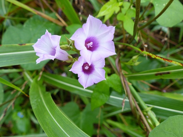 f0357487_22401882.jpg