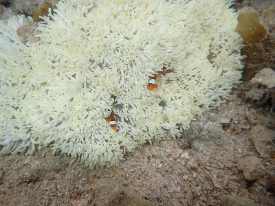 f0338188_12333451.jpg