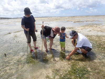 f0338188_12343281.jpg
