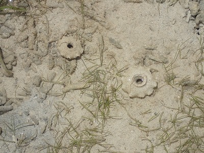 f0338188_12373855.jpg