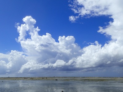 f0338188_12385587.jpg