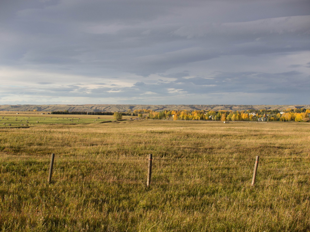 c0238497_10234245.jpg