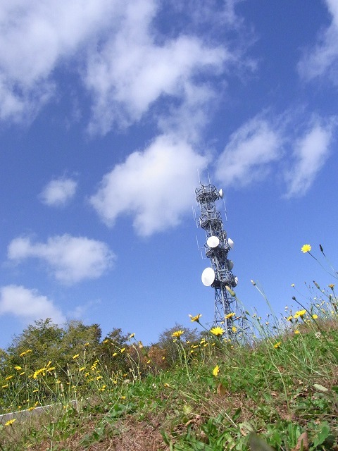 f0157901_11512527.jpg