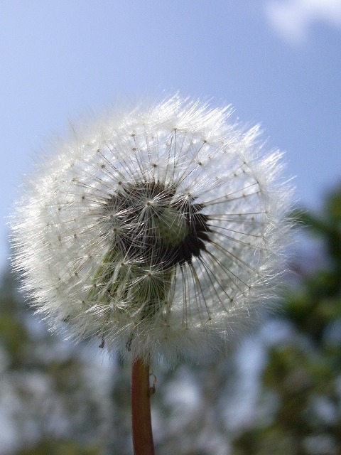 f0157901_11560561.jpg