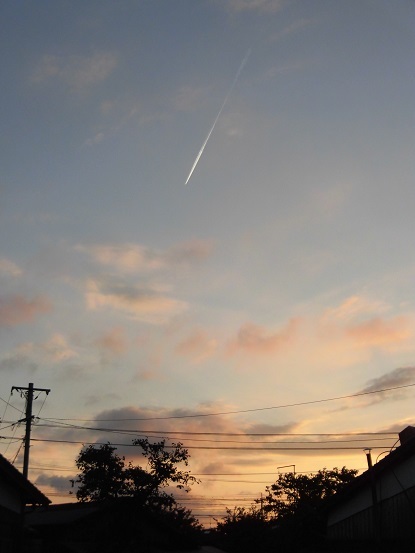 e0078404_14535095.jpg