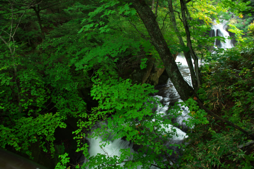a0263109_10501517.jpg