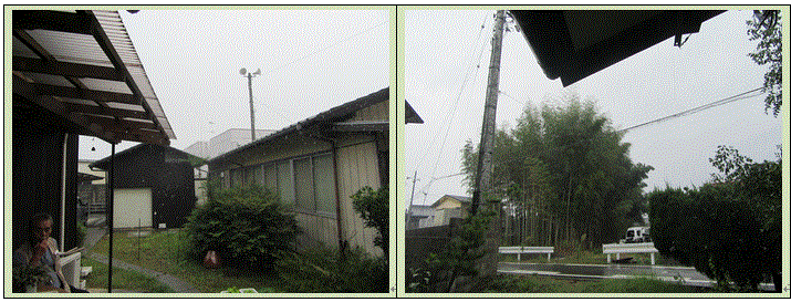 f0231709_12205277.gif