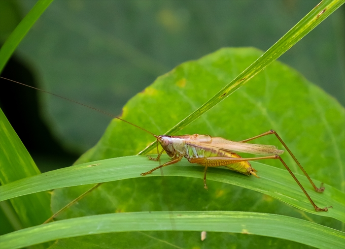 f0363618_2155231.jpg