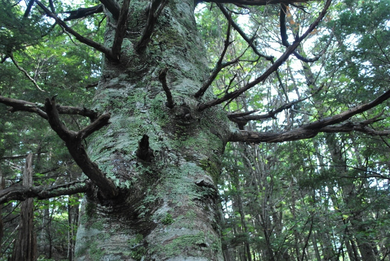 f0000521_1391588.jpg