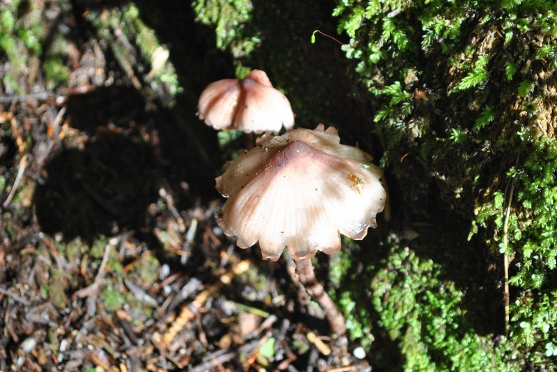 f0000521_1431917.jpg