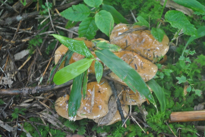 f0000521_1442980.jpg