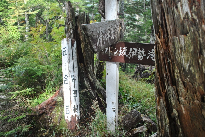f0000521_2144162.jpg