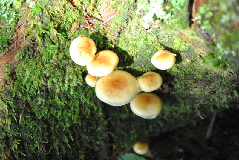 f0000521_22361.jpg