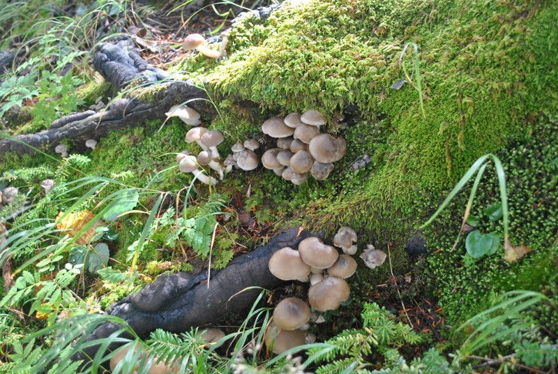 f0000521_225253.jpg