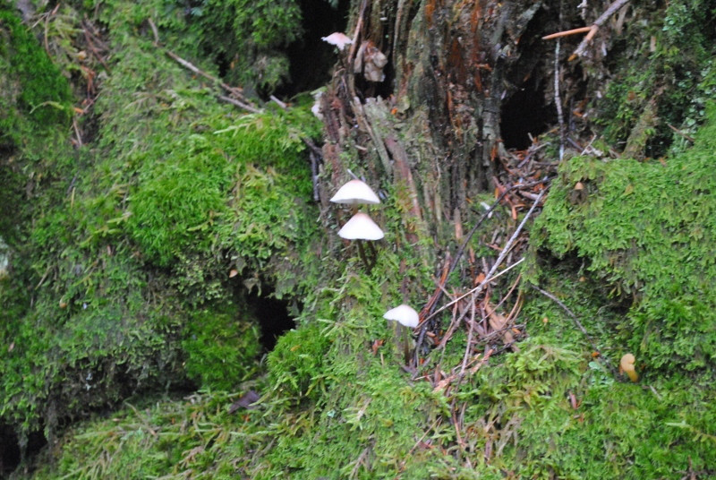 f0000521_244936.jpg
