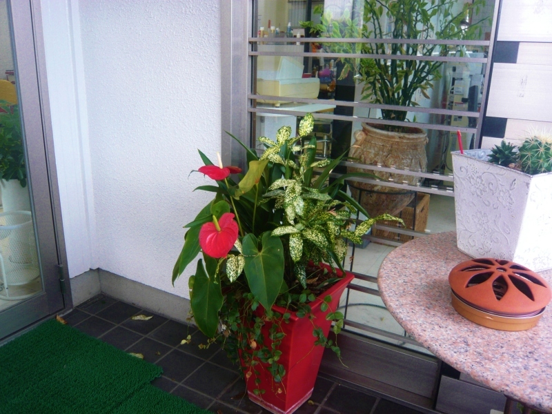 a0206332_20092338.jpg