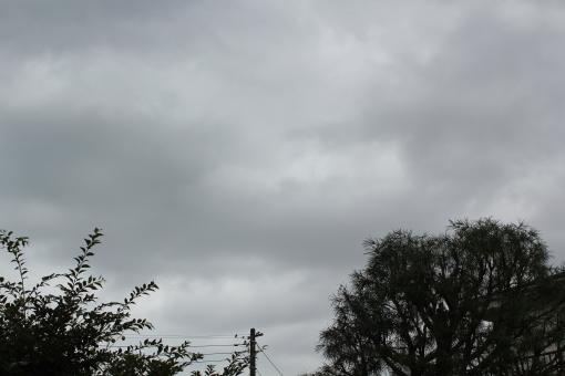 e0166032_15463080.jpg