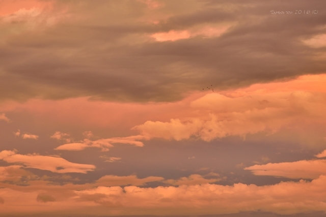 a0212036_20051243.jpg
