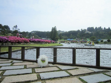 b0177436_16235028.jpg