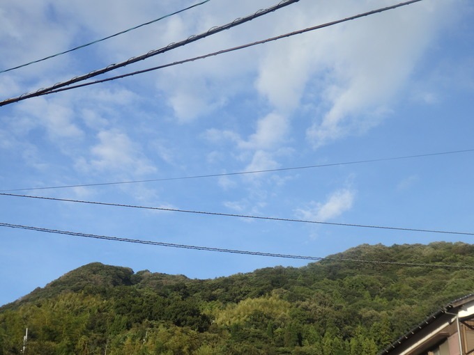 a0054240_2053509.jpg