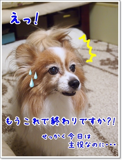 d0013149_00394221.jpg
