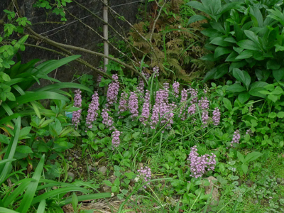 c0206051_20043677.jpg