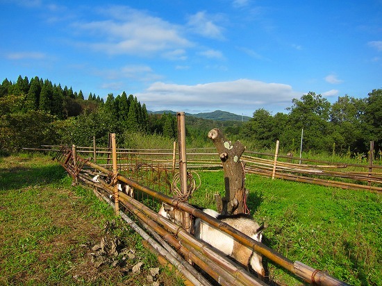 c0327752_15010281.jpg