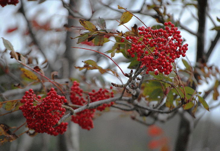 a0001354_22483572.gif