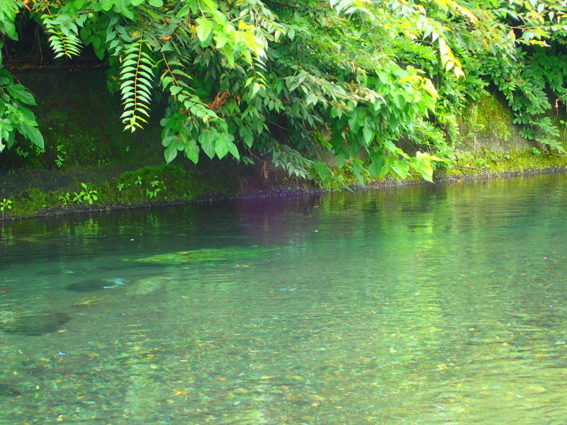 e0212759_22103289.jpg